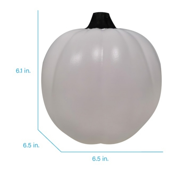 6 inch carvable white pumpkin - Picture 2 of 3